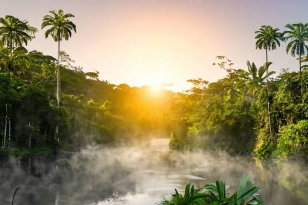 Congo Basin Blackwater Lakes Are Releasing Ancient carbon into the atmosphere