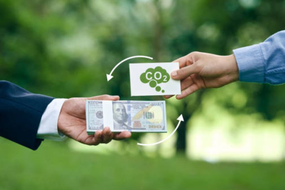 Africa Must Own Carbon Offsets Value Chain Amid Market Failures