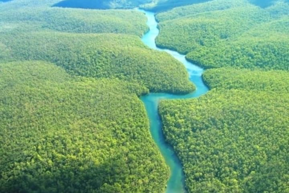 Some Amazon's Most Mysterious Wonders
