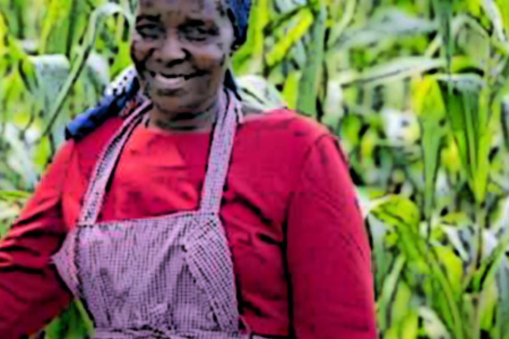 Editorial: Nothing is a waste in Farming