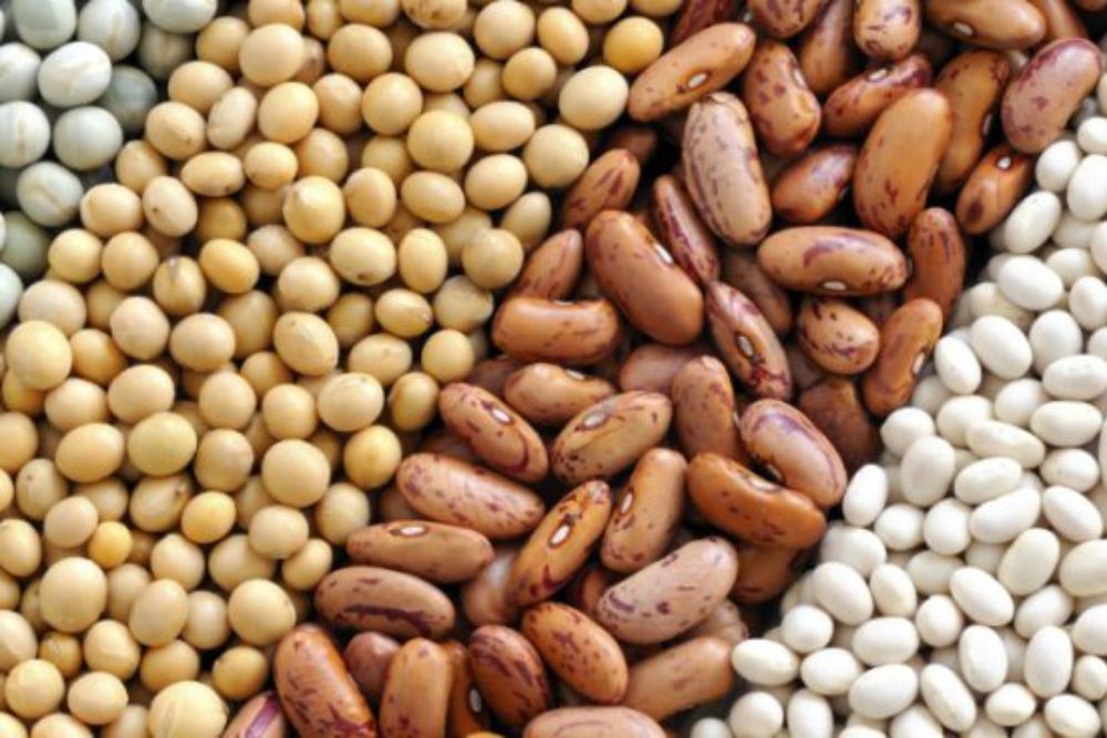 List And Health Effects Of GMO Food