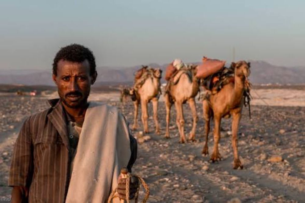 The Afar Tribe Of Danakil Desert