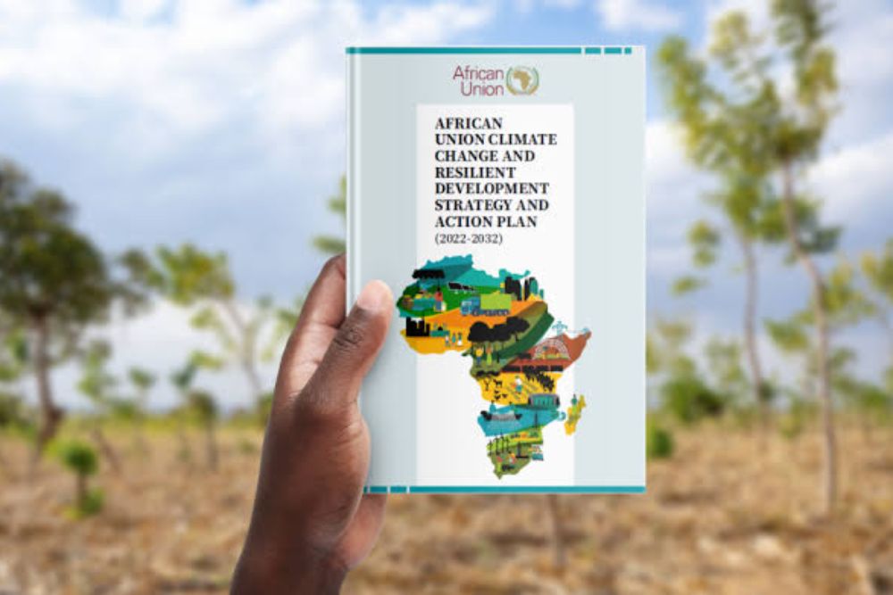 Future Agenda for Africa’s Economic Development and Climate Resilience