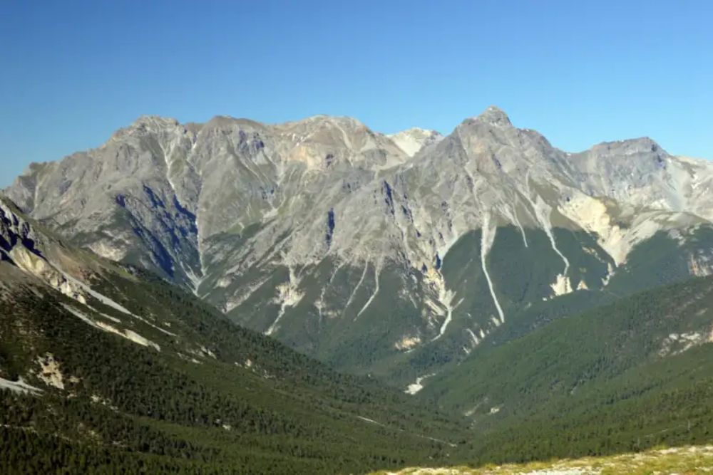 Reasons Treelines Don't Just Rise With The Climate