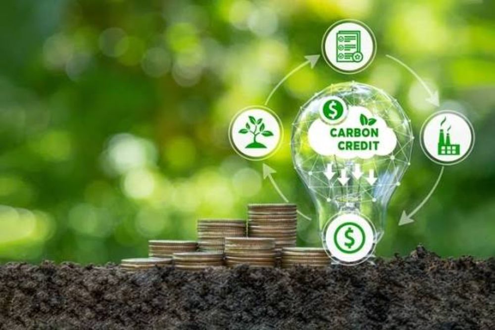 Carbon Market Set for Major Shake-Up- Alan Mammoser