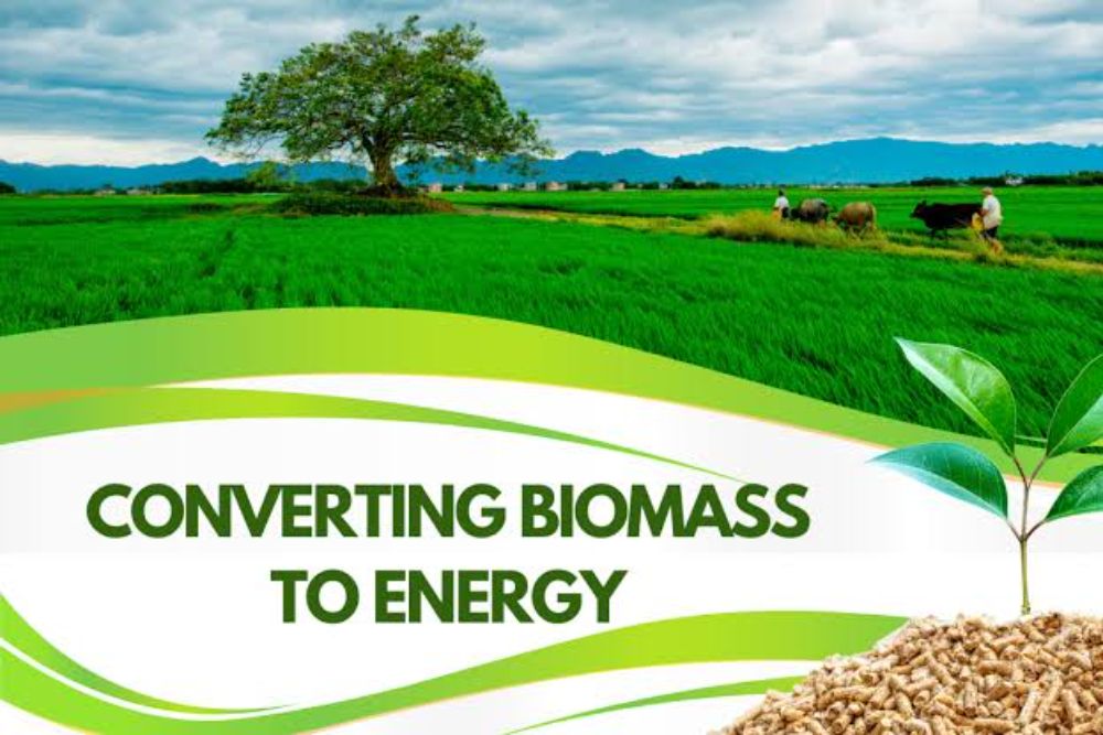 Turning Biomass Carbon Into A Durable Climate Solution At Scale