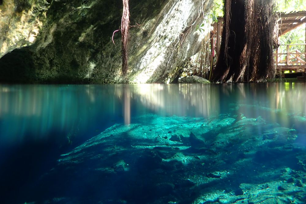 Small Shrimp Lightens Entire Cave Ecosystem